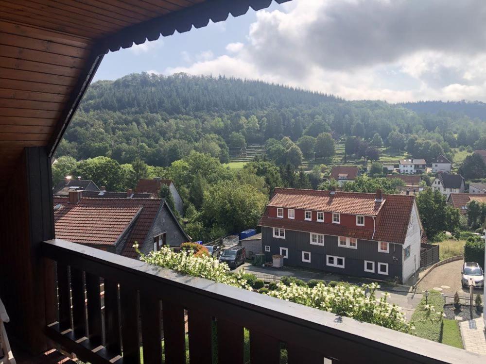 Harzhotel Gruenett Langelsheim Extérieur photo