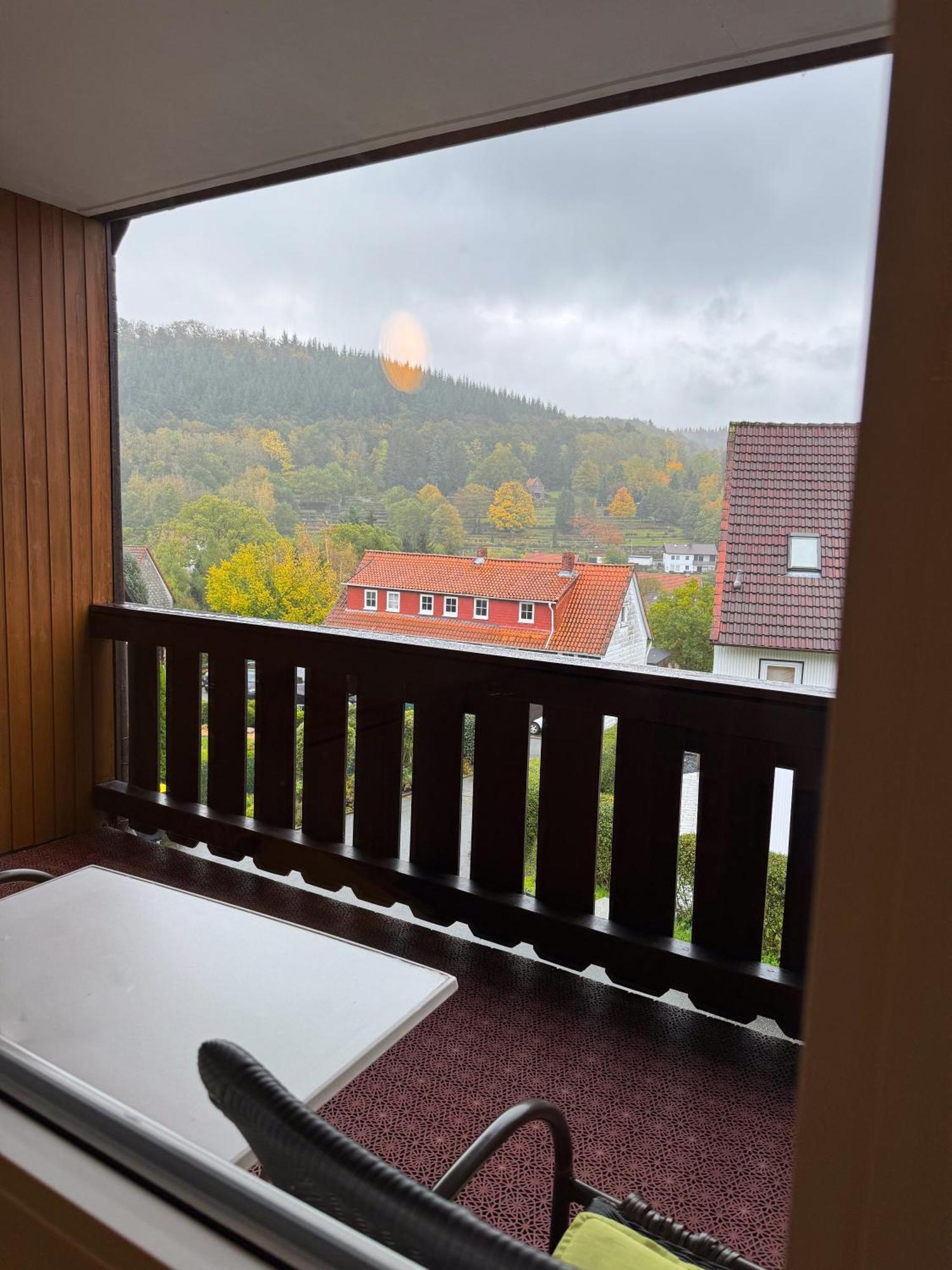 Harzhotel Gruenett Langelsheim Extérieur photo